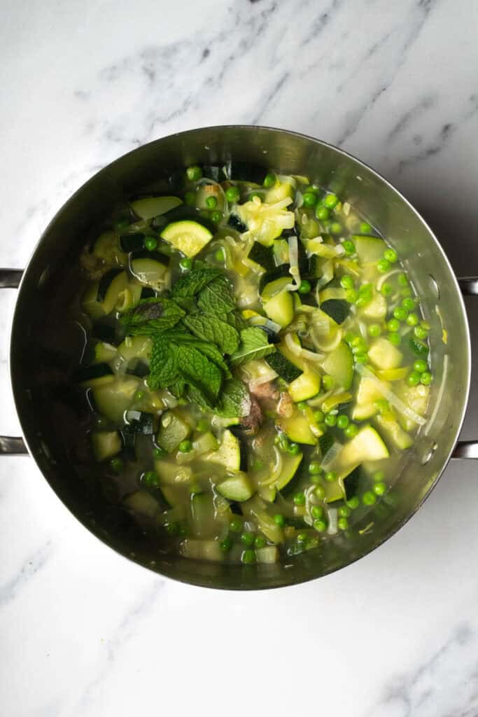 fresh mint added to the soup mixture.